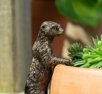 Meerkat Plant Pot Hanger - L10.5 x W3.5 x H5 cm