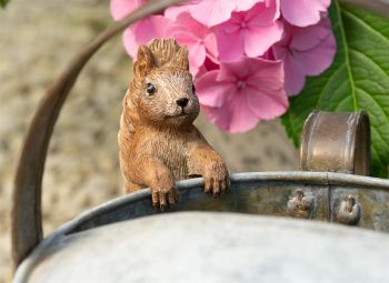 Beatrix Potter Squirrel Nutkin Plant Pot Hanger