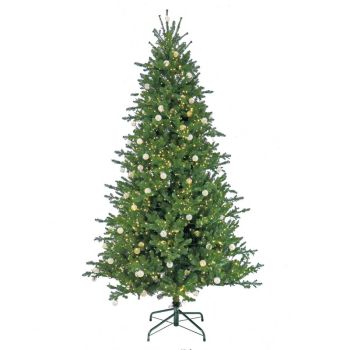 7.5 Feet Aspen Pine Tree