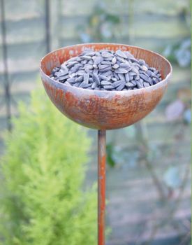 Pack of 3 Bowl Plant Pinn 4Ft Bare Metal Ready to Rust. Steel Garden Plant Border Support - Steel - H121.9 cm