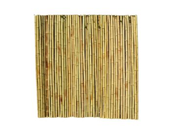 Roll Screen for Garden Fencing - Bamboo - L200 x W3 x H200 cm  - Moso