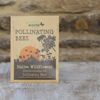 Native Wildflower Seeds for Pollinating Bees