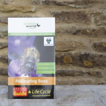 UK Pollinating Bees Guide