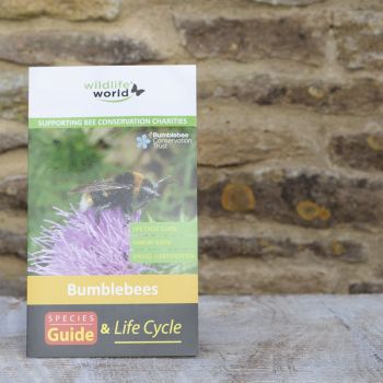 UK Bumblebees Guide