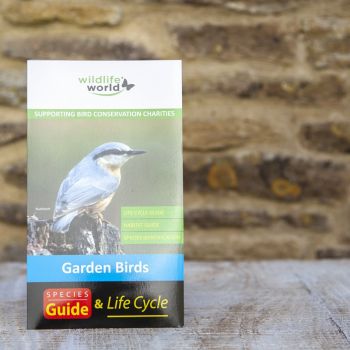 UK Garden Birds Guide