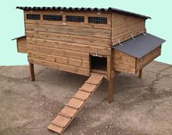Stafford Major Poultry House - Raised Chicken coop for up to 20 hens