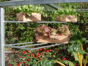 Optional Twin Seed Tray Shelves - Colour Coated