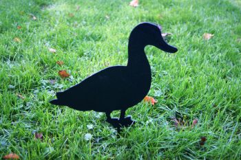 Duck Facing on Stake - Hand Made By Traditional Forge, Steel Garden Ornament - Steel - W17.8 x H30 cm - Bare Metal/Ready to Rust