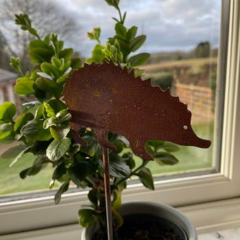 Hedgehog Pot Stake (Pack of 3) - Bare Metal/Ready to Rust - H23 cm
