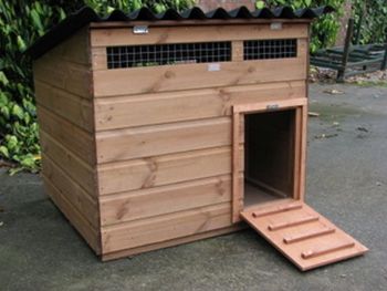 Swinford Duck House - Poultry coop for waterfowl
