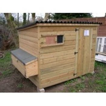 Tall Poultry Shed with Nestboxes