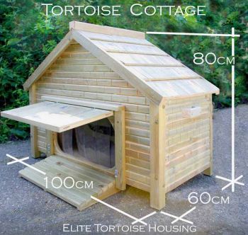 Buttercup Tortoise Cottage - Solid Thick Marine Grade Ply - L100 x W60 x H80 cm