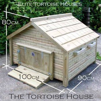 Buttercup Tortoise House - Solid Thick Marine Grade Ply - L100 x W90 x H80 cm 