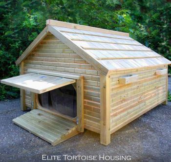 Buttercup Tortoise Manor - Solid Thick Marine Grade Ply - L100 x W120 x H80 cm 
