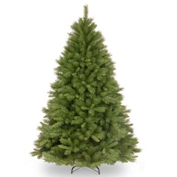 6 Feet Winchester Pine Tree