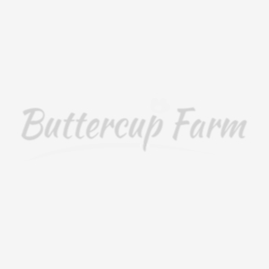 Windsor Junior Poultry House - Raised chicken coop for up to 6 hens