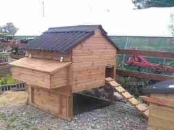 Windsor Junior Poultry House - Raised chicken coop for up to 6 hens