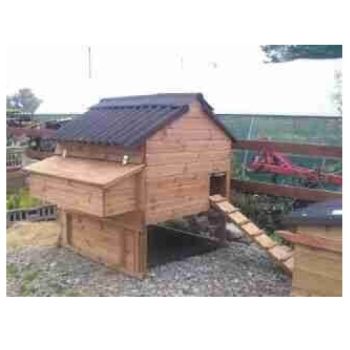 Windsor Junior Poultry House - Raised chicken coop for up to 6 hens - L81 x W94 x H137 cm