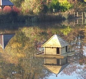 Large Square Indian Runner Floating Duck House, Waterfowl Nesting Box for Pond or Lake