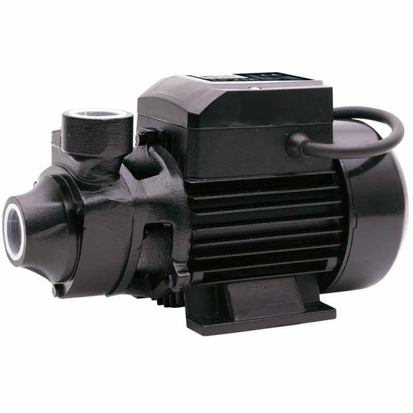 SIP EP2M Electric Surface Water Pump