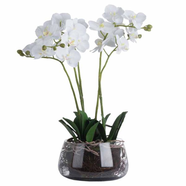 Orchid in Glass Pot Artificial Flower - Plastic - L21 x W21 x H61 cm - White