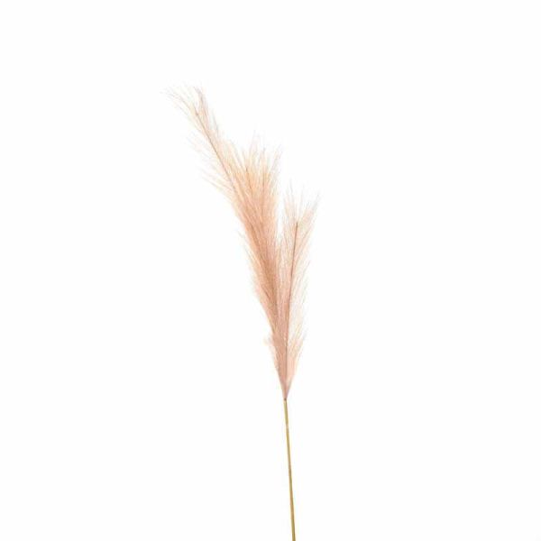 Faux Pampas Grass Stem Artificial Plant - Fabric/Plastic - L30 x W30 x H85 cm