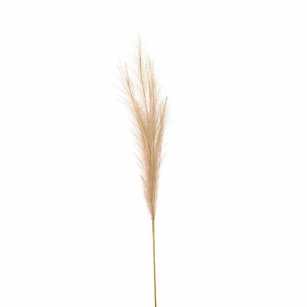 Bleached Faux Pampas Grass Stem Artificial Plant - Fabric/Plastic - L30 x W30 x H85 cm - White