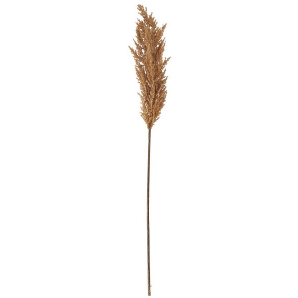 Taupe Faux Dried Pampas Grass (Single Stem) - H68 cm