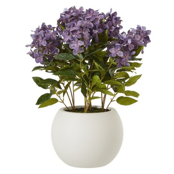 Medium Purple Hydrangea Plant in Pot - Plastic - L51 x W51 x H58 cm