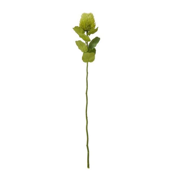 Banksia (Single Stem Flower) - Plastic - Height 59 cm - Green