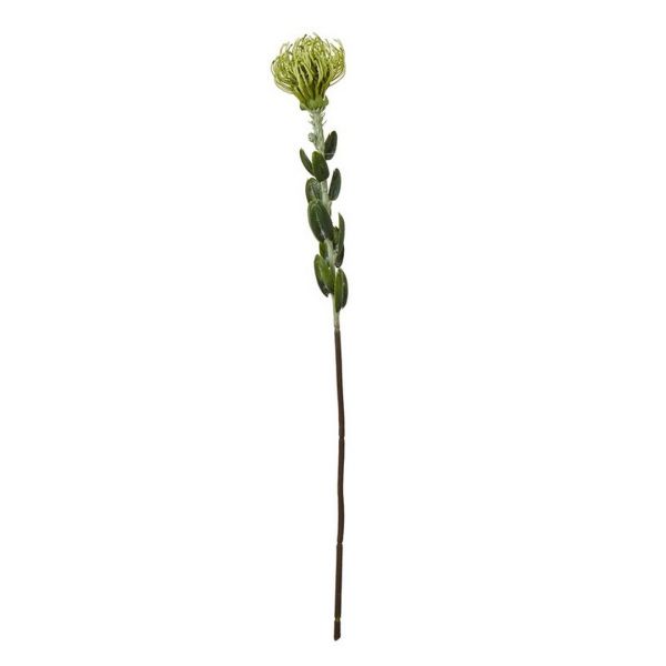 Pincushion Protea Spray (Single Stem Flower) - Plastic - Height 61 cm - Green