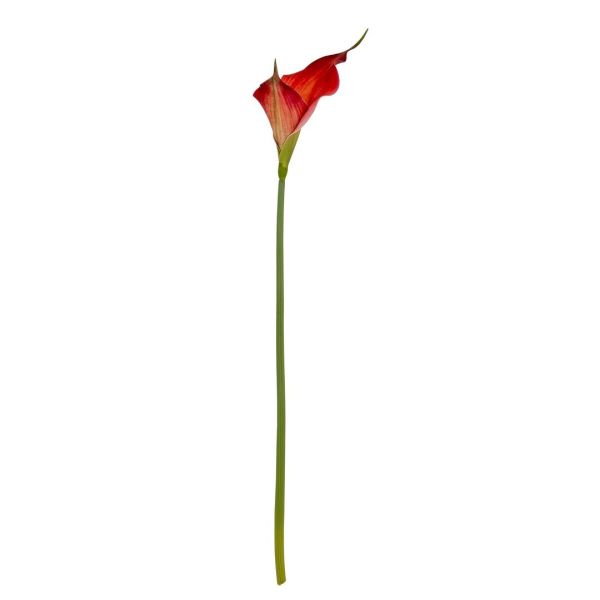 Fireball Calla Lily Artificial Flower - Plastic - H70 cm - Red