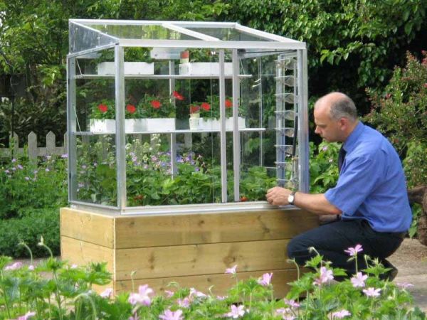 Eltham-D 3 Feet 4 Inches Classic Growhouse - Aluminium - L100 x W79 x H100 cm - Racing Green
