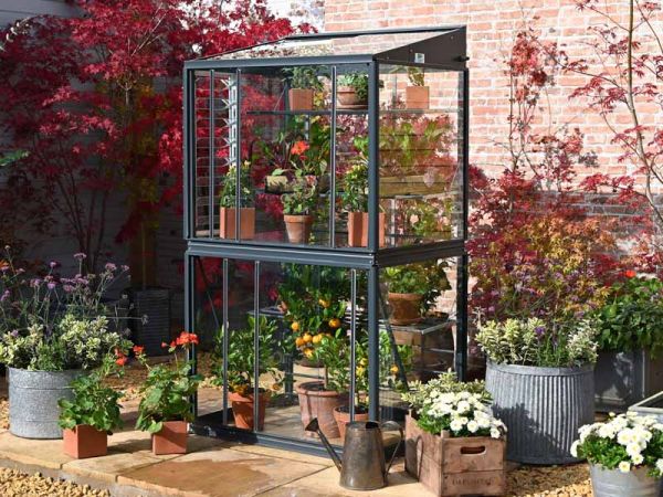 Exbury 3 Feet 4 Inches Classic Growhouse - Aluminium - L100 x W79 x H181 cm - Black