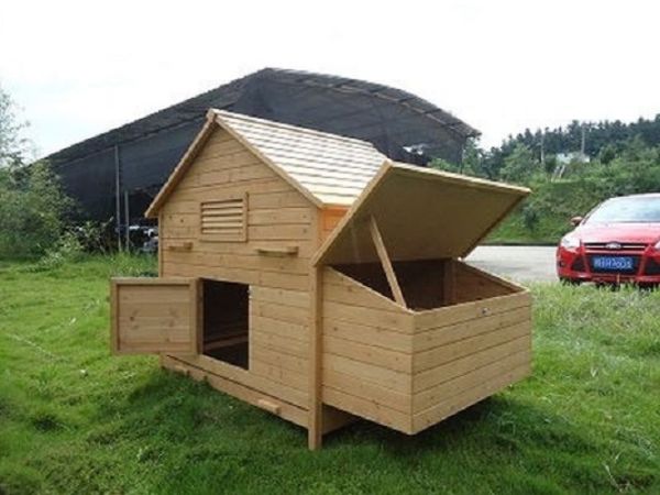 (New with tray) Clopton 6 to 12 Hen Chicken Coop - L174 x W110 x H137 cm