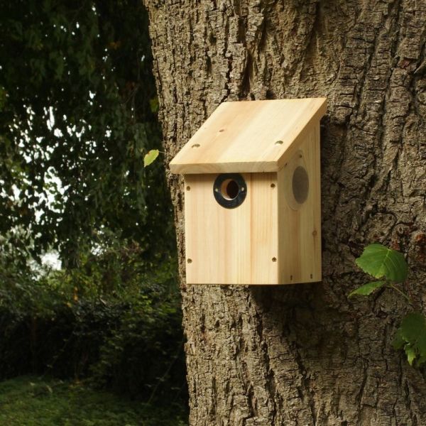 Colour and Infrared Camera Nest Box