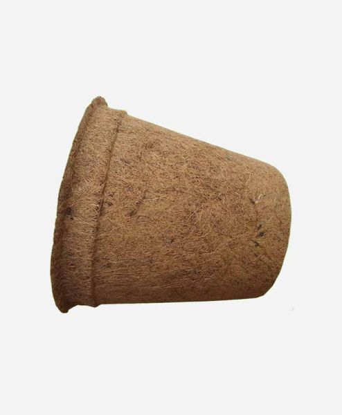 Coir Pots - Pack of 10 - Fibre/Latex - H28 cm