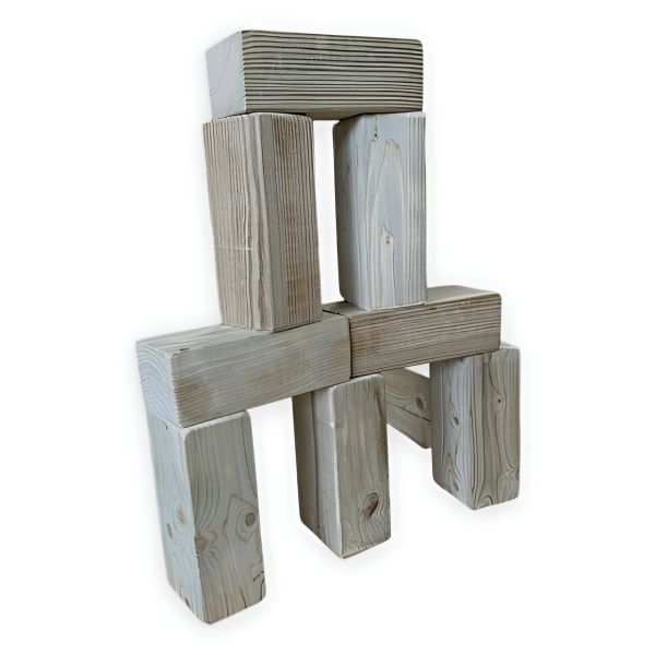 40x Large Regal Play Brick Blocks for Indoor and Outdoor Use - L19.5 x W9.5 x H7.5 cm