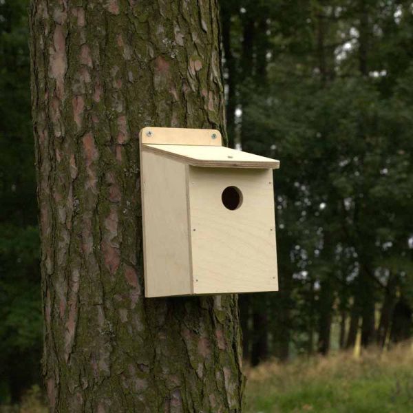 Bird Box Kit with 25mm Hole - Plywood - L15 x W13 x H23 cm