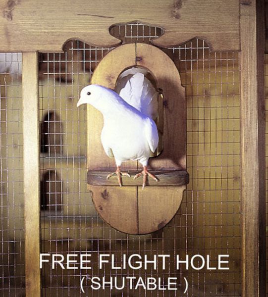 Optional Extra - Free Flight Hole for Ipswich Aviaries 8 Natural - Pressure Treated Red Pine