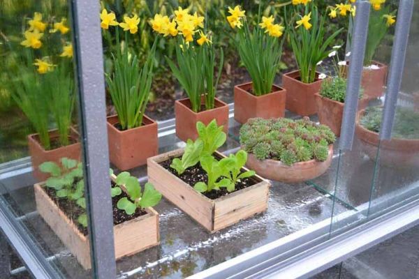 Optional 4 Feet Middle Staging for Growhouse/Wall Frame