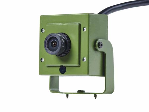 Ip bird 2024 box camera