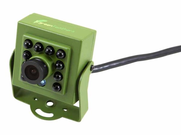 Green Feathers 1080P Wired Bird box Kit 