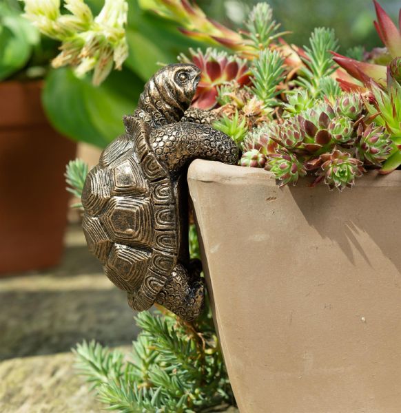 Tortoise Plant Pot Hanger - L11 x W6 x H7.5 cm