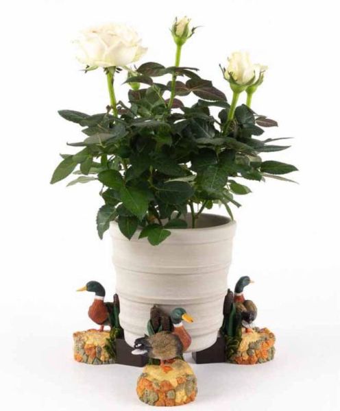 Coloured Mallard Duck Plant Pot Feet - Set of 3