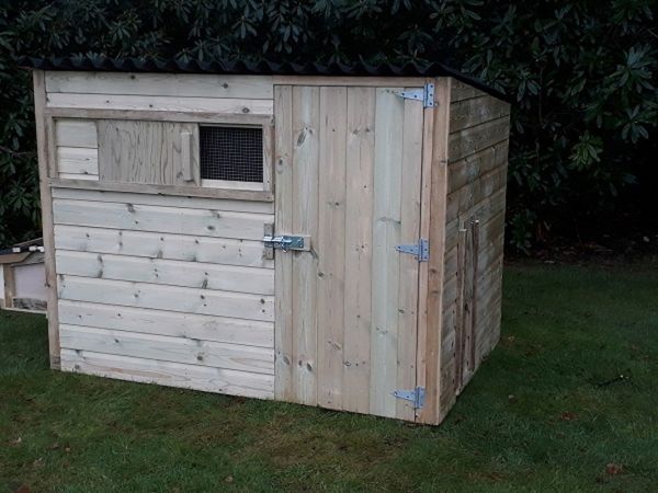 Buttercup Chicken or Duck House - Pressure Treated Poultry shed or hen coop - For up to 24 Hens