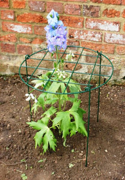 12 Inches Grow Through Ring (Pack of 4) Steel Plant Border Supports Legs Sold Separately - Steel - L30.4 x W30.4 x H30 cm