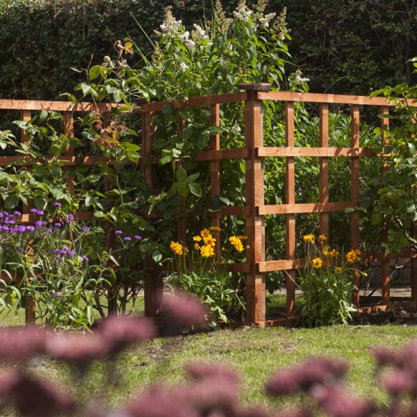 6x4 Heavy Duty Trellis Dip Treated (Pack of 3) - L122 x W122 x H183 cm