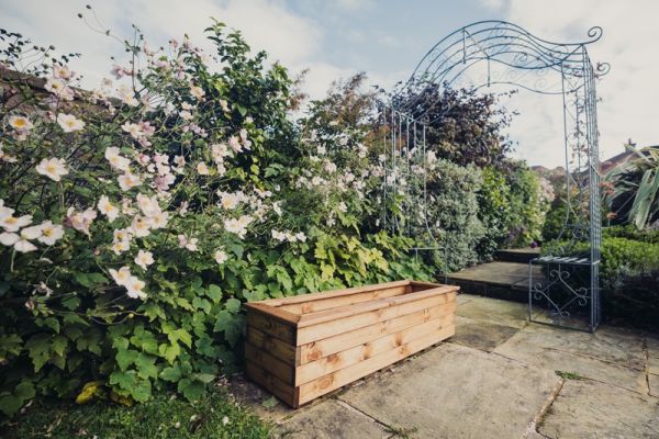 Valley Trough XL - Timber - L39 x W120 x H32 cm - Garden Planter - Fully Assembled
