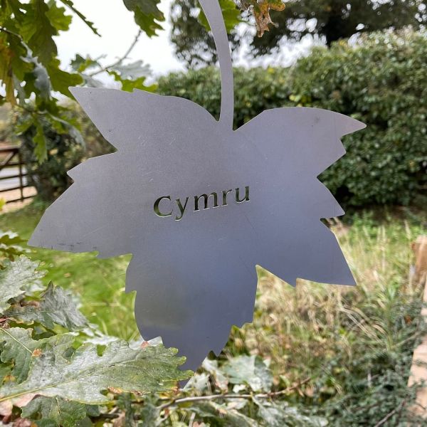 Falling Leaves - Bare Metal/Ready to Rust - W20 x H25 cm - Cymru